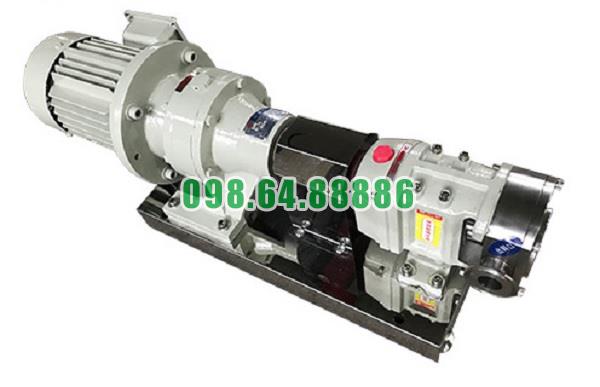 Máy bơm cánh khế 3RP-35 lưu lượng 15 m3/h áp suất 0.6 MPa tốc độ quay 750 vòng/phút